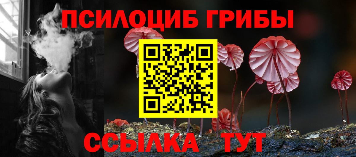 Галлюциногенные грибы мухоморы  Вход с VPN  Псилоцибиновые грибы Magic Shrooms  Нальчик 
